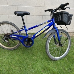 自転車22インチ子供用の画像