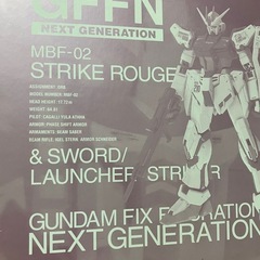 GFFN ストライクルージュ