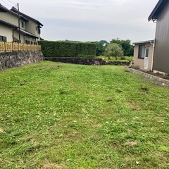草刈り作業いたします