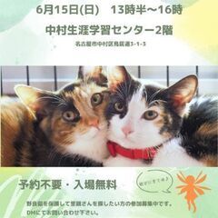 保護猫の譲渡会ニャ！  2025/6/15(日) 名古屋市 中村区
