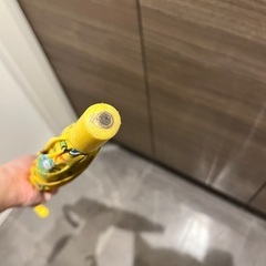 【差し上げます】子ども用ポケモン傘の画像