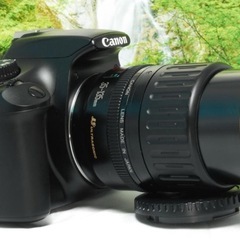 ✨高倍率レンズセット✨Canon Kiss X50✨ショット数約1300回✨軽量の画像