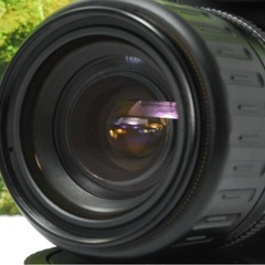 ✨高倍率レンズセット✨Canon Kiss X50✨ショット数約1300回✨軽量の画像