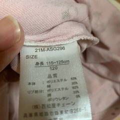 ワンピース110の画像