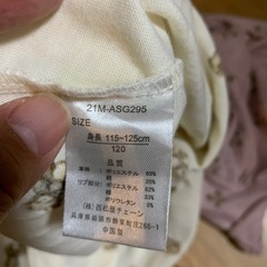 ワンピース110の画像