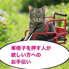車椅子を押してくれる人が欲しい方へのお手伝い