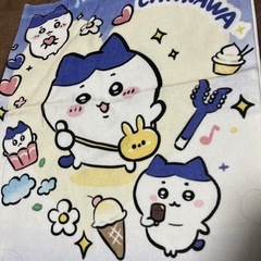 ハチワレ福猫の画像