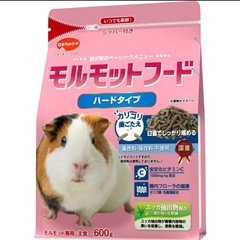 新品 モルモット フード ハードタイプ 小動物 おやつ フード ...