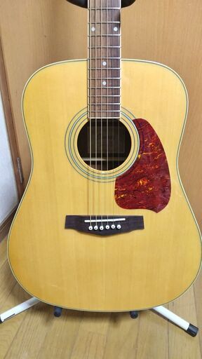 2025 お歳暮【公式】 - 人気ブランド ❤️弦高調整済「Ibanez PF60NT-1203」(*゜▽゜ アイバニーズ ギター