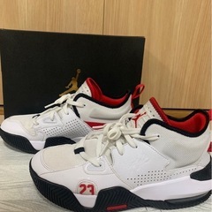 JORDAN ステイロイヤル2 26.5cmの画像