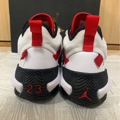 JORDAN ステイロイヤル2 26.5cmの画像