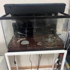 水槽その他セット