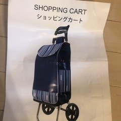 ショッピングカート　未使用　新品の画像