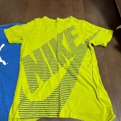 プーマとNIKEのTシャツ
の画像