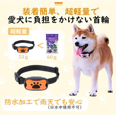 🐾安心しつけ【新品未使用】無駄吠え防止首輪 オレンジ 肉球柄 超軽量 電流不使用 7段階ビープ＆振動 小型犬 中型犬 犬用しつけ首輪 USB充電式 防水対応 吠え対策の画像