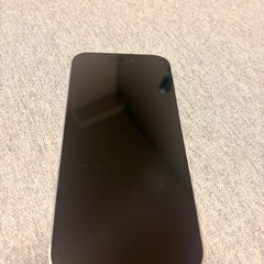 iPhone15Pro  これから取引可能な方はお気持ち程度お値下げ可能ですの画像