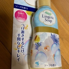 ランジェリー用洗剤の画像