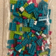夏休みの暇つぶしに…ポケモン　ナノブロック 018.019の画像