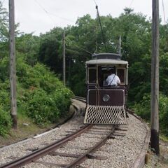 静岡叉は愛知で旅の交流や呑み会しませんか～