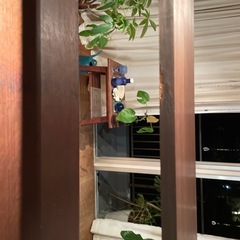 無垢材の棚の画像
