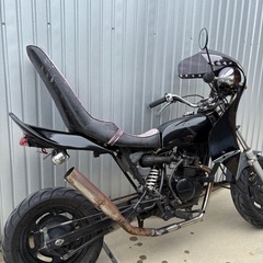 エイプ　人気車　50cc 高騰　バイク原付　熊本　福岡　佐賀　モンキーの画像