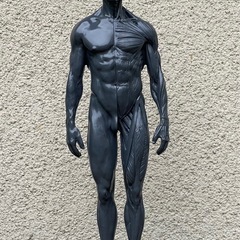 男性 人体モデル 人体模型 約30cm 人体筋肉 解剖 樹脂 筋...