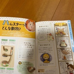 はじめてのハムスターの育て方の画像