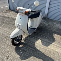フルマーク　スパタク　クレタクの画像