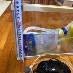 60cmスリム水槽の画像