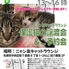 【札幌】保護猫の譲渡会・ご予約会[06/21-22]
