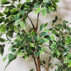 【最終値下げ】IKEA 人工観葉植物 FEJKA フェイカ +鉢カバーのセットの画像