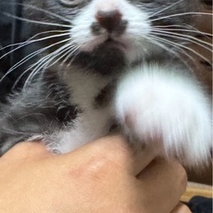 大切にしてくれる人を探してます。