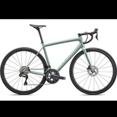 specialized ethos pro