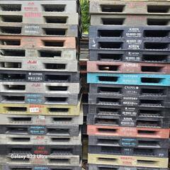 ビールパレット