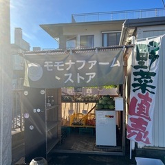 【厚木モモナファームメダカ】メダカ無人販売