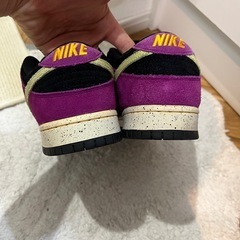 NIKE SB DUNK LOW ACGの画像