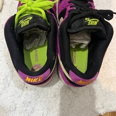 NIKE SB DUNK LOW ACGの画像
