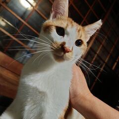 遊ぶのも人馴れもバッチリ！帰って来たモーモー9ヶ月