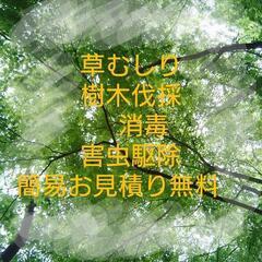 草刈り　草むしり　樹木伐採　ゴミ掃除　便利屋　