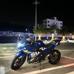 GSX250R