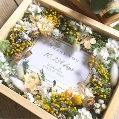 ミモザ　花部分　hnの画像