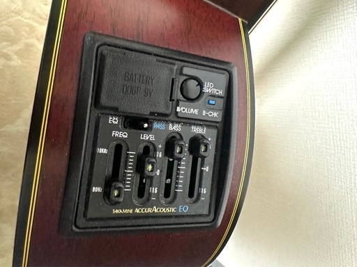 長渕剛 使用モデル　タカミネ　NPT05N