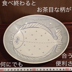 大活躍 カレー 煮物 サラダ 汁もの 丸皿