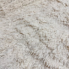 【譲渡先決まりました】マットの画像
