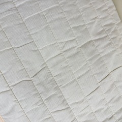 【譲渡先決まりました】マットの画像