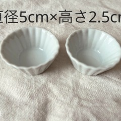 ミニミニサイズ白お皿2セット