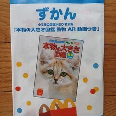 [美品✨]絵本４冊＋おまけ追加あり4点の画像