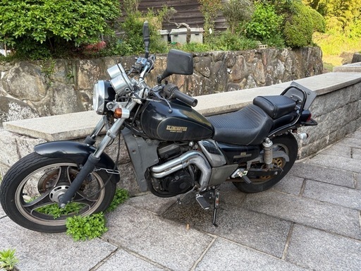 エリミネーター250se