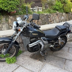 エリミネーター250se