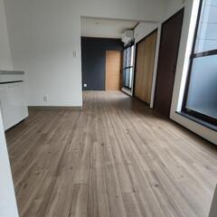 大家直接募集！ ペット相談可 1LDK 敷金礼金ゼロ物件★大阪府堺市北区深井  中百舌鳥  賃貸 保証会社加入連帯保証人不要
ブリスフル深井北町201号 - 賃貸（マンション/一戸建て）